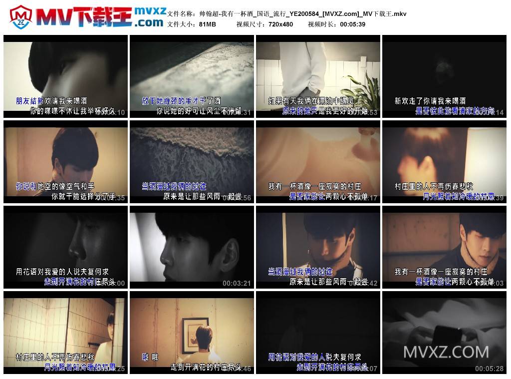 帅翰超-我有一杯酒_国语_流行_YE200584